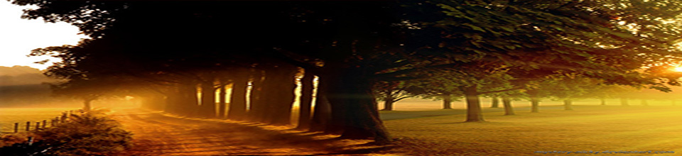 Jagla H M High School - Slide